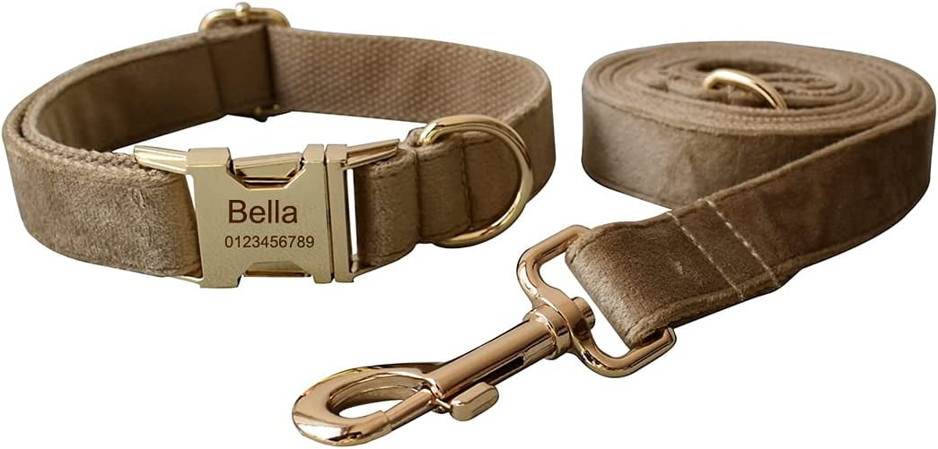 Band Pup - Personalized Dog Collar