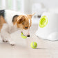 Go Fetch - Tennis Ball Launcher for Dogs