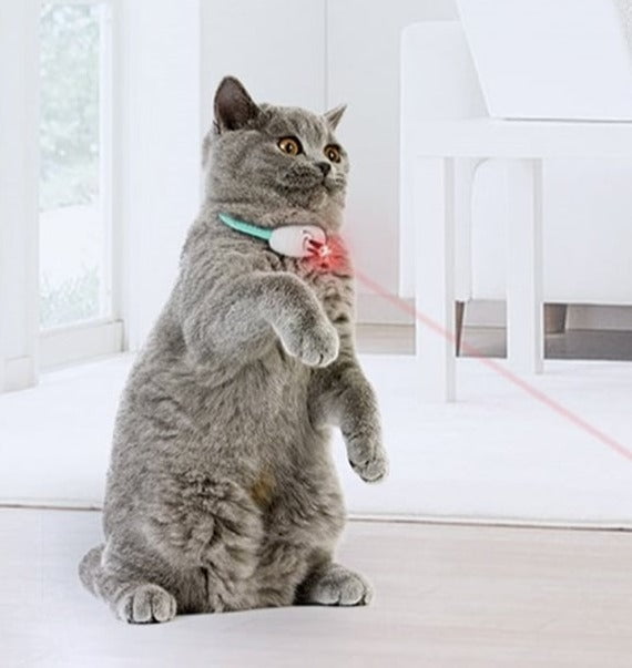 Beam Acti - Smart Amusing Collar for Kitten