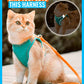 Leash Glow - Luminous Cat Vest Harness And Leash Set