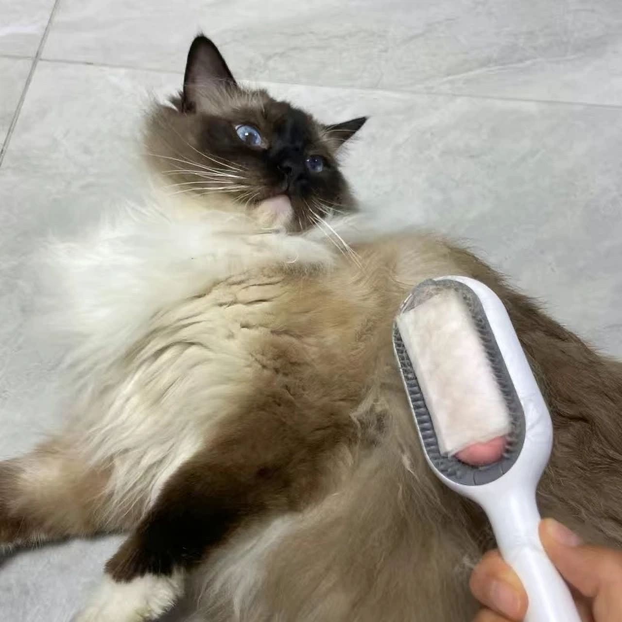 Fresh Coat - Cat Bathing Brush (Random Color)