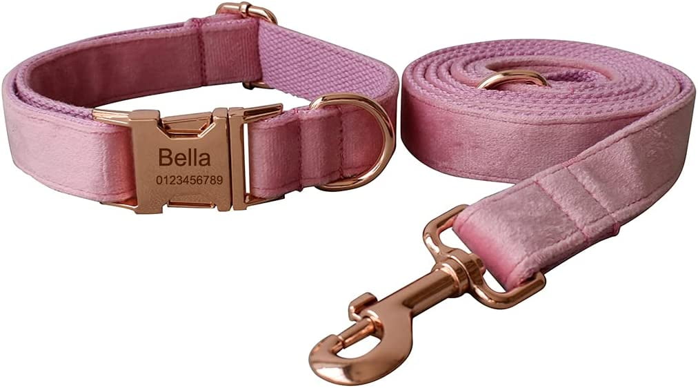 Band Pup - Personalized Dog Collar