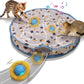 Roll Purr - Rolling in Pouch Interactive Cat Toy