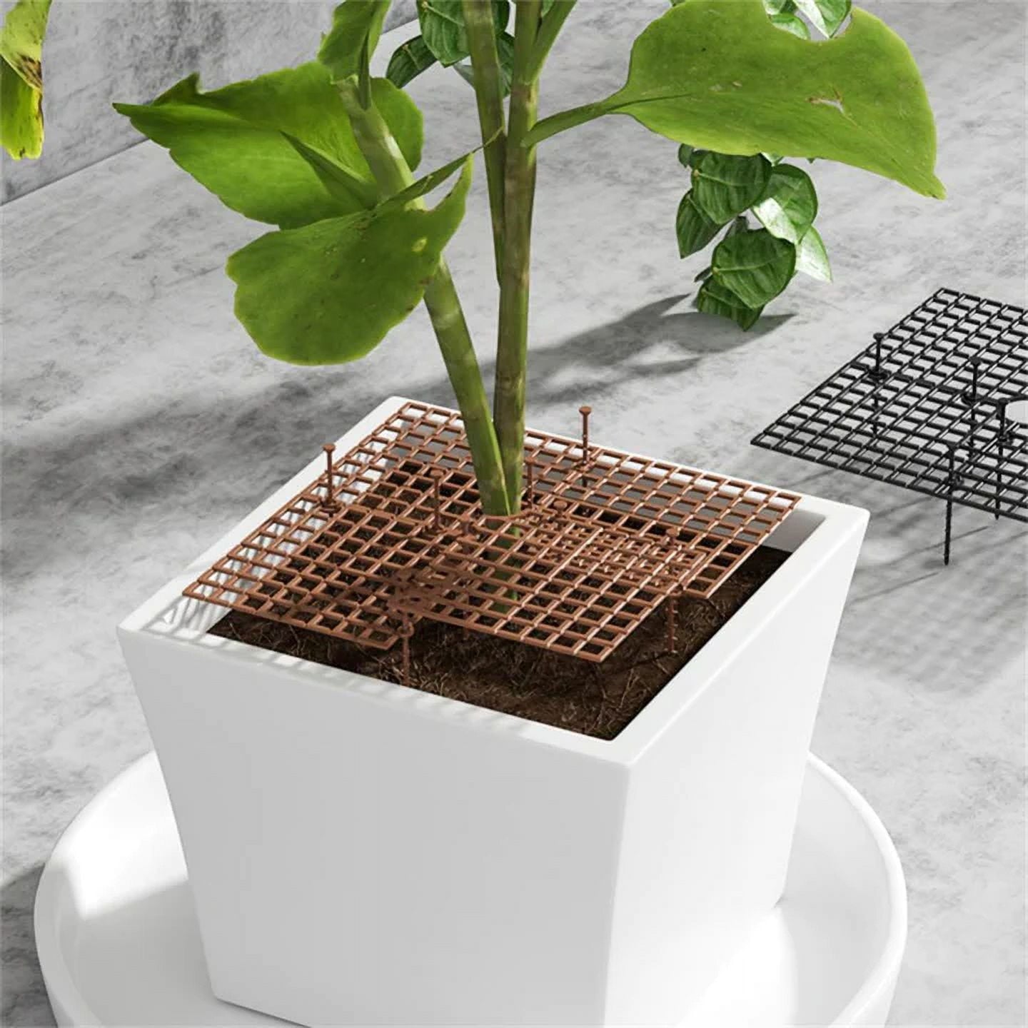 Cover Pot - Plant Pot Soil Cover Grid