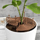 Cover Pot - Plant Pot Soil Cover Grid