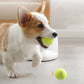 Go Fetch - Tennis Ball Launcher for Dogs