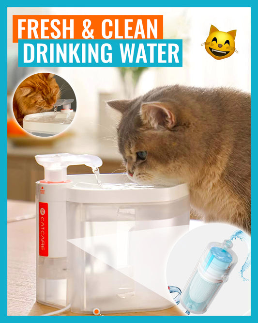Ultra-Clean Pet Drinking Fountain by PetStream
