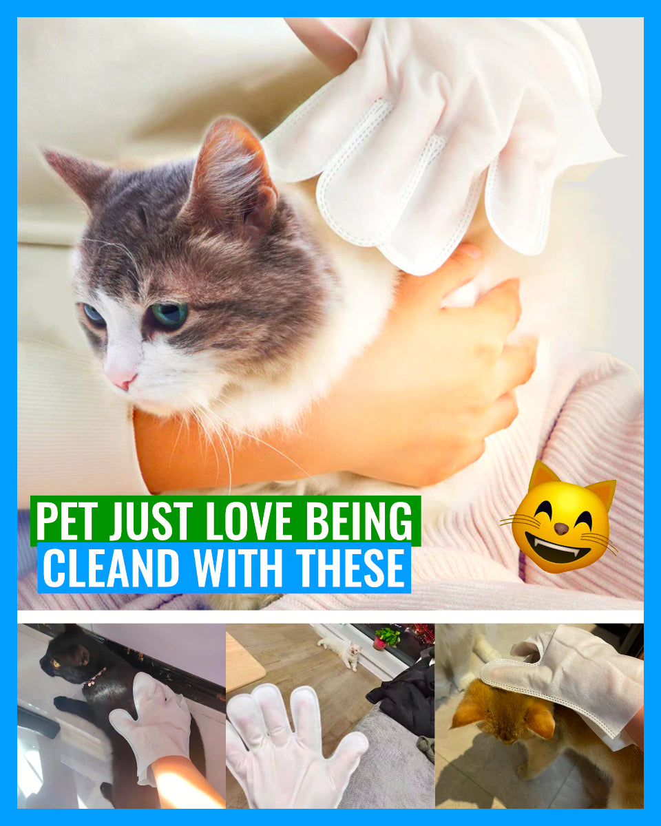 Wipes Paw - Dry Cleaning Gloves For Pets